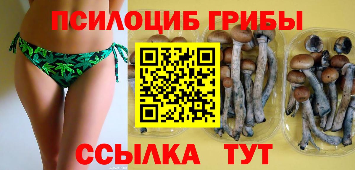 Новороссийск  Галлюциногенные грибы прущие грибы  Вход с VPN 