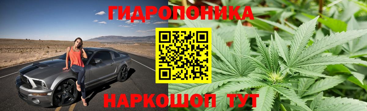 Шишки марихуана OG Kush Новороссийск